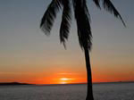 ile